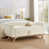 Beige*Solid Color