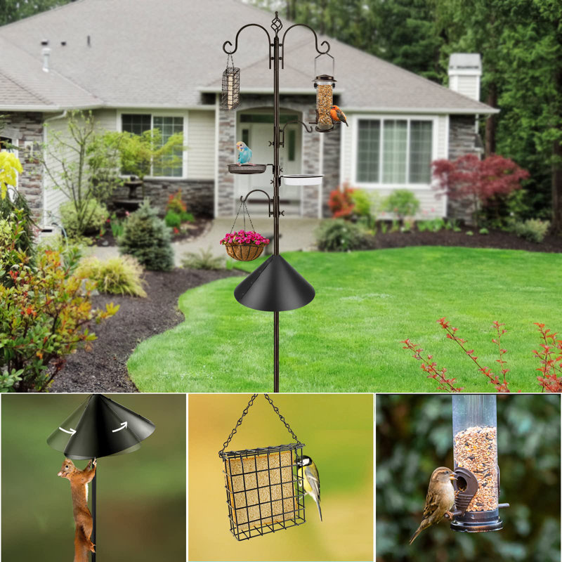 Ensemble de mangeoire pour oiseaux avec déflecteur d'écureuil et cage à suif