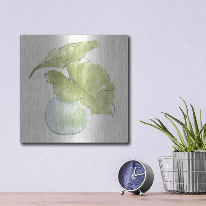 Brayden Studio «Plant Big Leaf III» par Chris Paschke, H 12 po x l 12 po