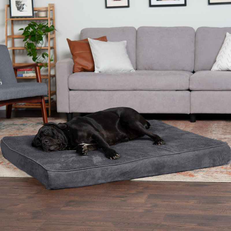 Coussin orthopédique Snuggle NAP Deluxe, Gris, Jumbo Plus (l 53 po x P 40 po x H 5 po)