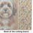 Sable Havanese Heirloom Fall Glass Cutting Board