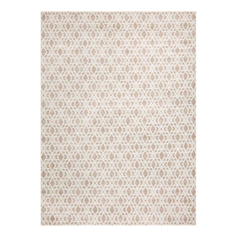 Fethiye Botkins Rug, Rectangle 9' x 12'