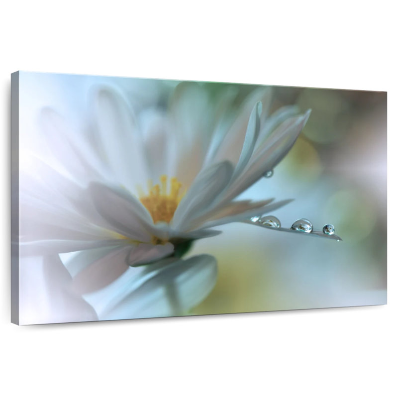 Harnek Light Touch, 32" H x 48" W