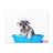 Cute Schnauzer Bath Canvas Wall Art-1210609286