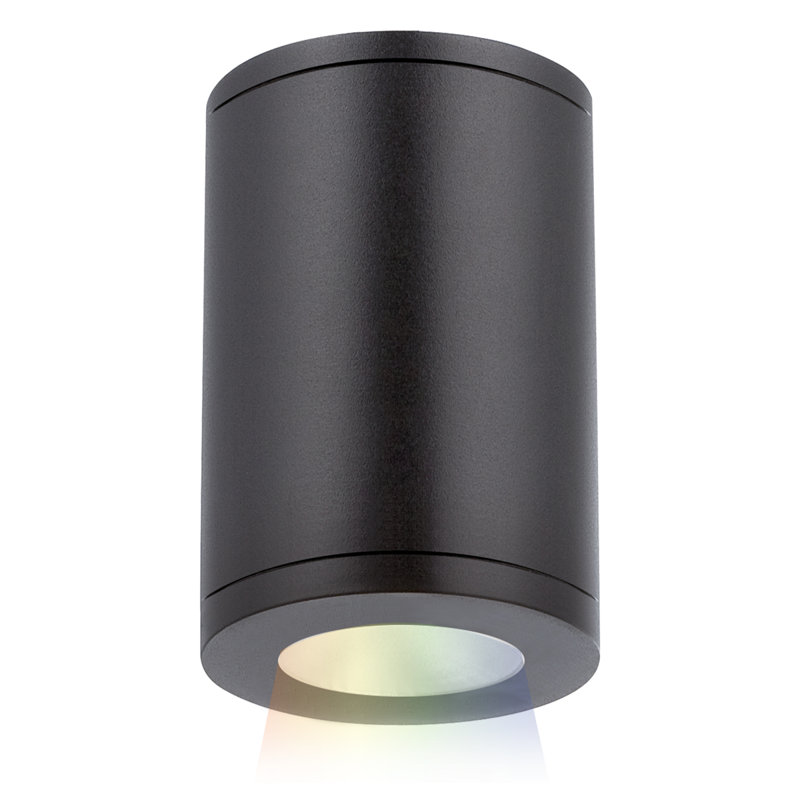 Tube 1 - Light LED Flush Mount, Black, Flood