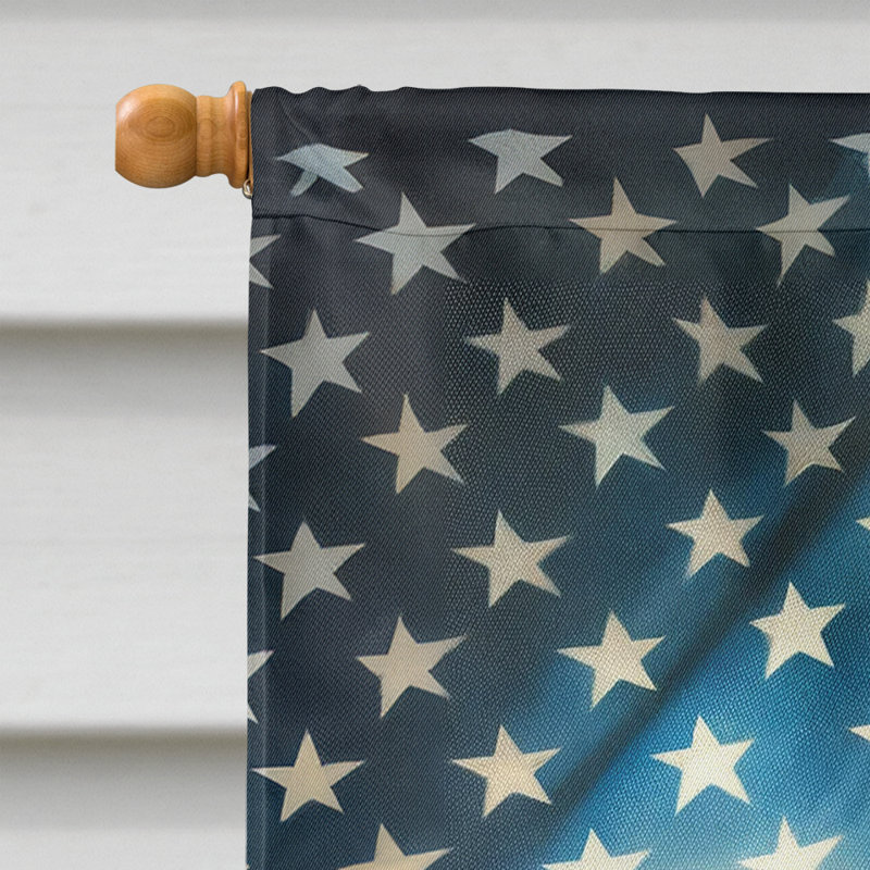 Drapeau «All American House», Doberman pinscher