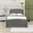 Twin Platform Bed with Trundle-1478878344