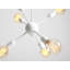 Ballywillin 6 - Light Sputnik Chandelier-40239183