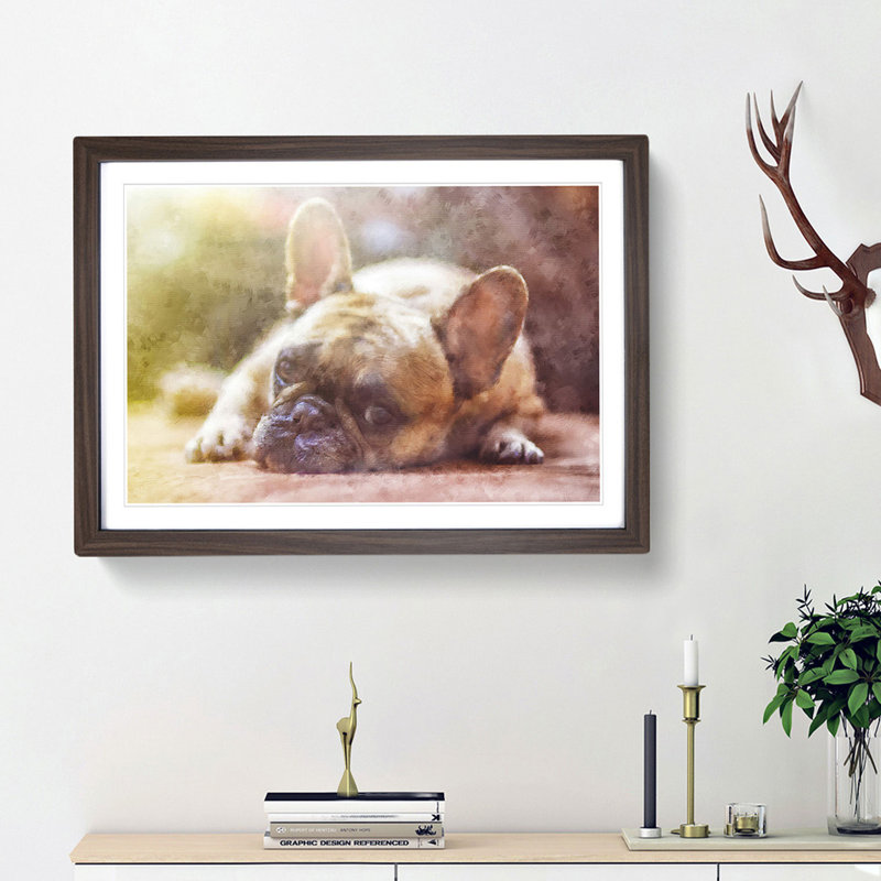 Fawn French Bulldog Dog - Framed Print, 24cm H x 33cm W x 2cm D, Walnut Framed
