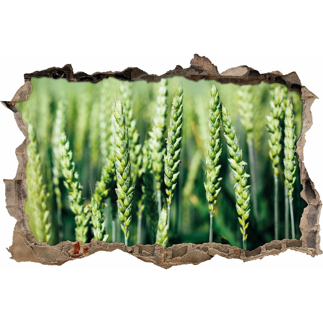 Wandaufkleber Green Wheat in a Field