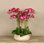 Arrangement floral orchidées dans un pot