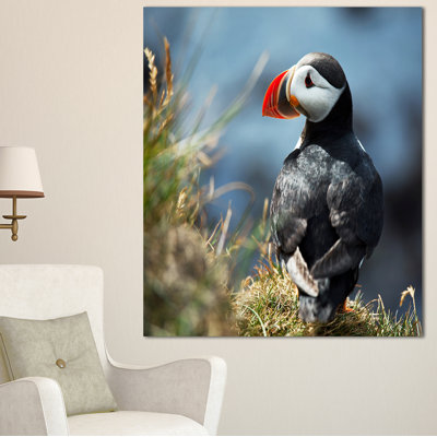 " Cute Puffin Relaxing "