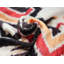Velvet Lumbar Pillow Cover & Insert-394660153