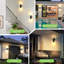 Matte Black 30.3cm H Outdoor Sconce