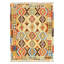 Ikat Area Rug in Gold