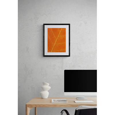 Philippe Monthoux  Autumn Leaf  by Philippe Monthoux