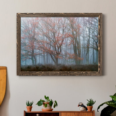 " Misty Contrasts "