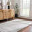 Jaelyne Machine Washable Beige/Gray Oriental Area Rug-1375756046