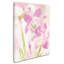 « amaryllis floraisoning », reproduction sur toile tendue-11827133