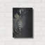 «Zebra Fade To Black2» par David Stri, art luxueux en métal «Zebra Fade To Black2» par David Stribble