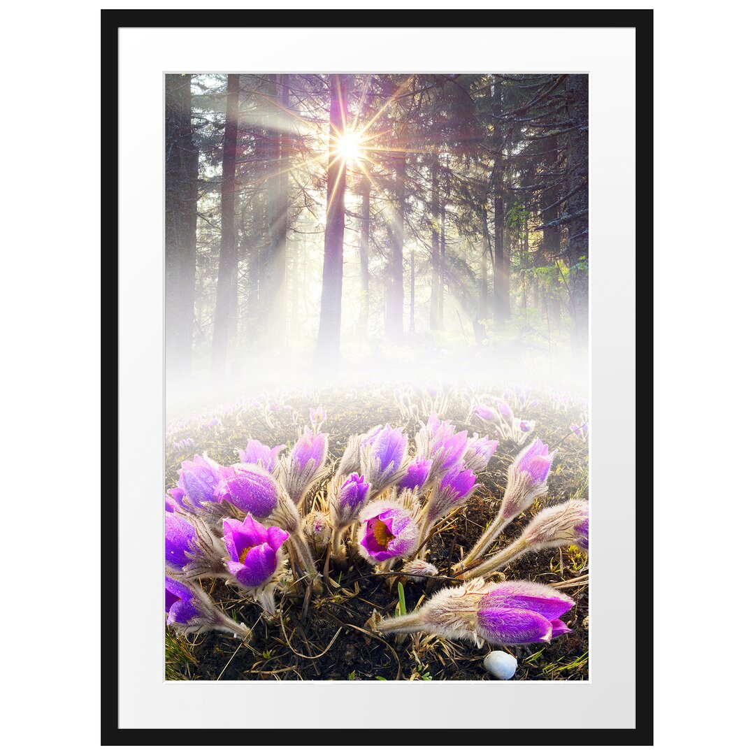 Gerahmtes Poster Lila Blumen im Wald