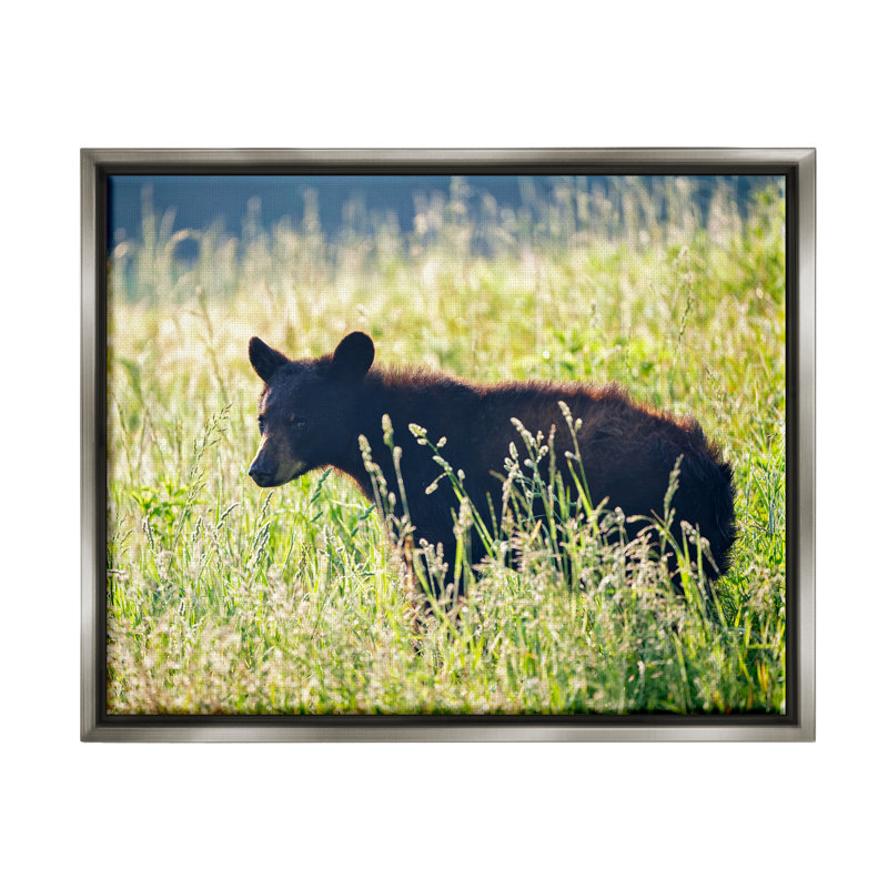 «Baby Bear Tall Grassland Floater» par Rick Berk, H 17 po x l 21 po x P 1,7 po, Cadre flottant gris lustré