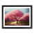 Black Framed selected
