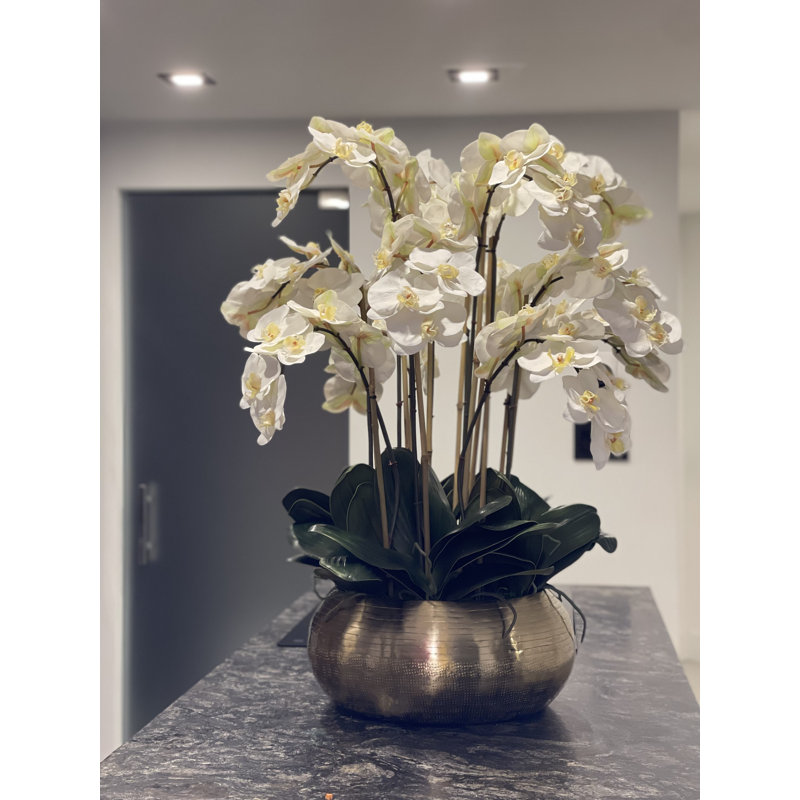 White Phalaenopsis Orchids In Gold Metal Bowie Bowl, White