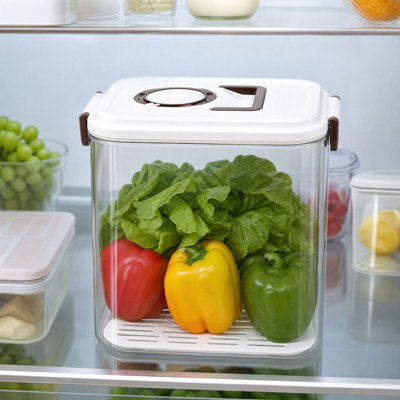 Vacuum Food Storage Container with Hand Pump Food Container for Kitchen Refrigerator Dry and Wet Food Storage