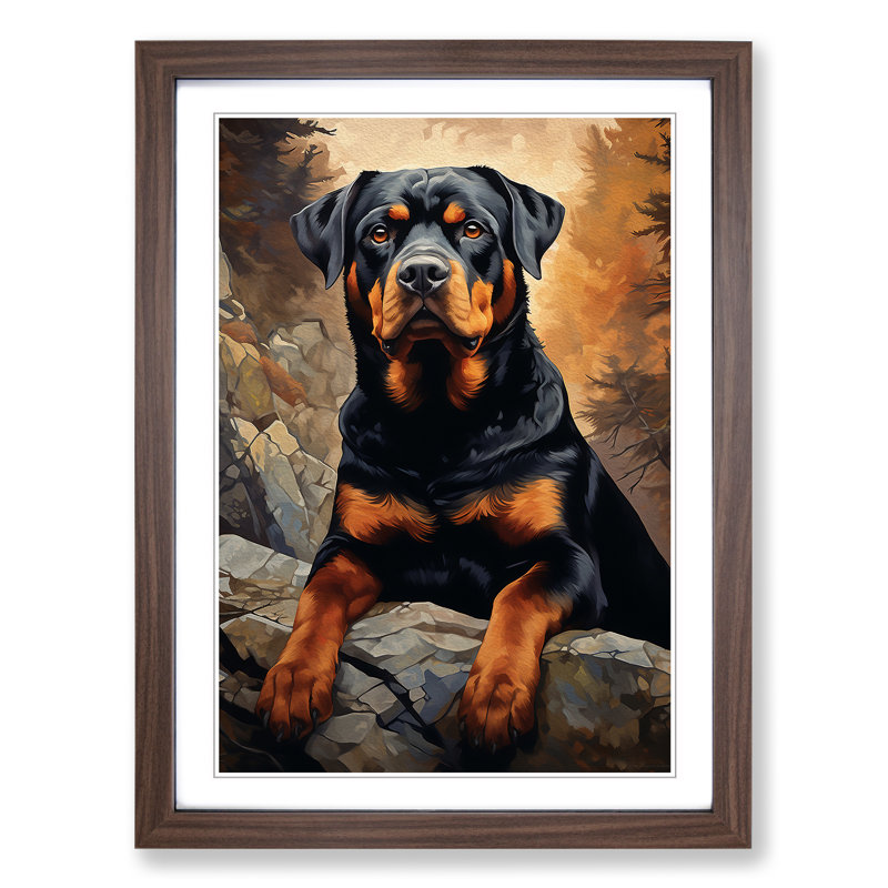Rottweiler Classicism No.2 - Single Picture Frame Print on Wood, Walnut, 34cm H x 25cm W x 2cm D