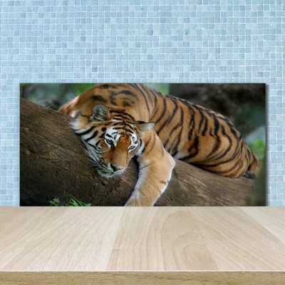 50cm W x 100cm L Glass Peel and Stick Panel
