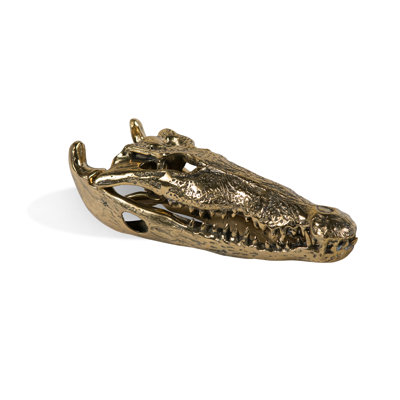 Tête de crâne alligator