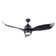 Wiltsie 52'' Ceiling Fan with LED Lights