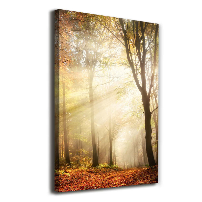 Autumn Forest - Wrapped Canvas Print