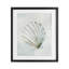 «Grey Seashell Serenity», reproduction encadrée sous verre, design par Hannah Dawson-1875430014-1875429952