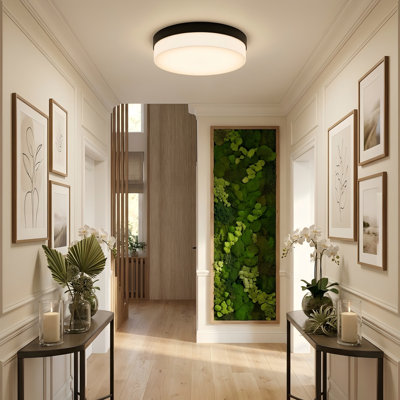 Plafonnier encastré 11,2 "à DEL, paquet de 2, 5CCT réglable, luminaire minimaliste noir pour la cuisine, la chambre à coucher, le salon, l'entrée et le couloir
