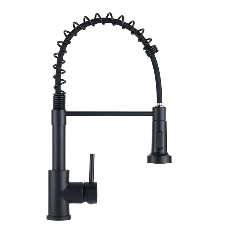 Belfry Kitchen Ailsa Kitchen Faucet, Matte Black