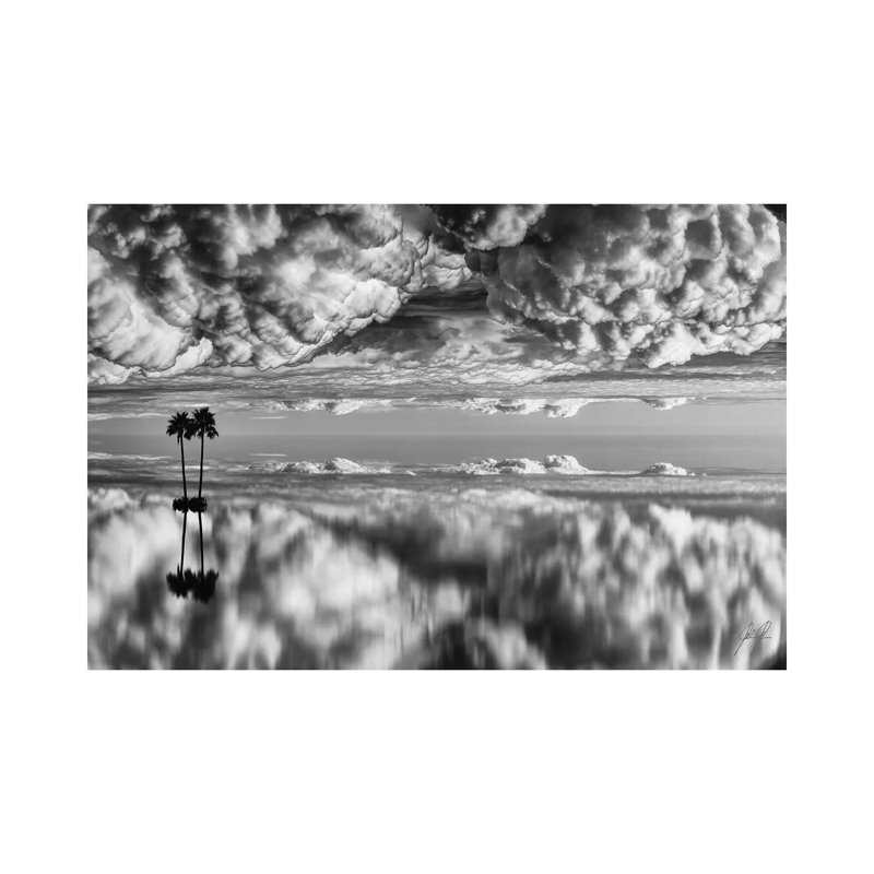 Palm on Cotton Wool 1 Piece Wrapped Canvas Wall Art, 20.32cm H x 30.48cm W x 1.91cm D