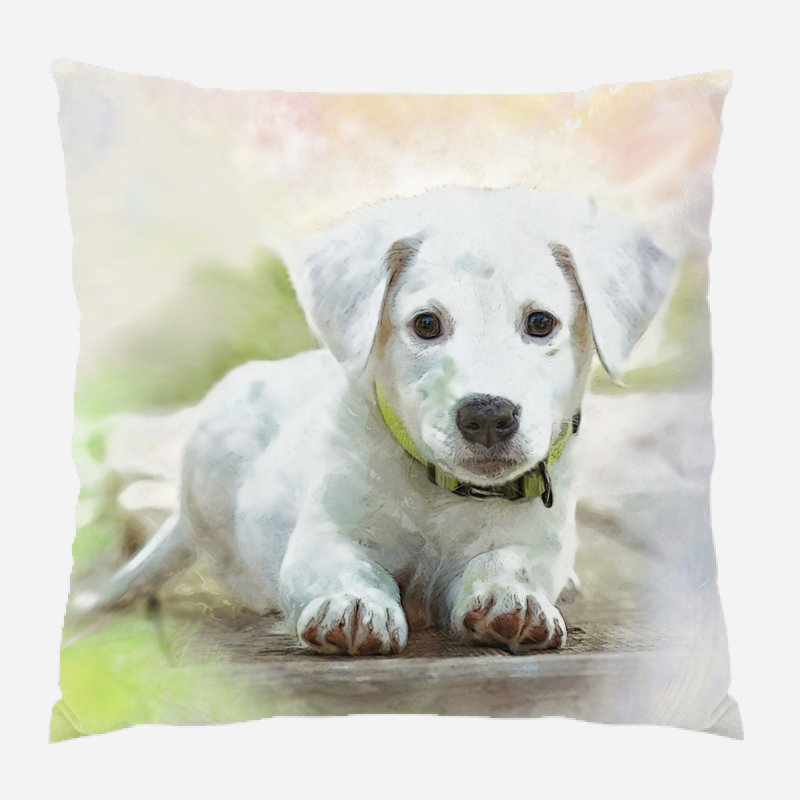  Housse et insert de coussin carré aquarelle, Microsuède, Intérieur