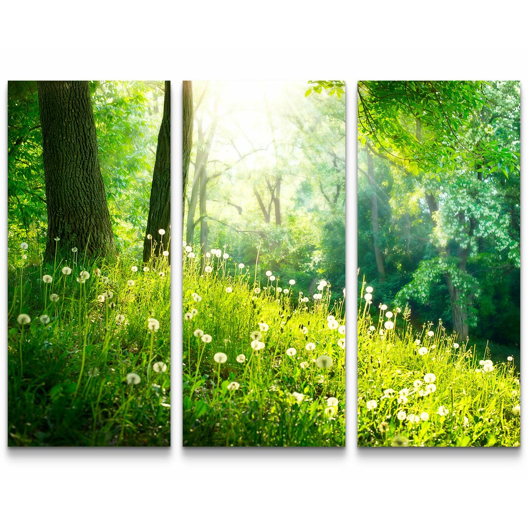 3-tlg. Leinwandbilder-Set Pusteblumen im Wald