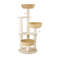 19.69"Solid wood log colour cat climbing frame and cat tree integrated rattan vertical style