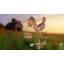 Girouette coq-1756424834