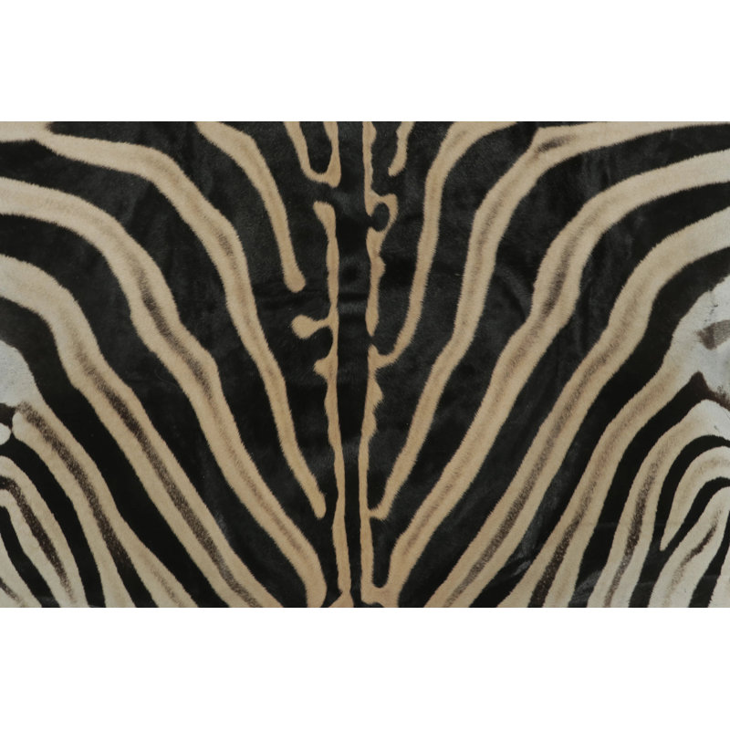 Modern Area Rug
