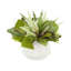 Mixed Green And White Heather Holiday Arrangement