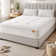 Wayfair Sleep Pocket Sprung 800 Mattress