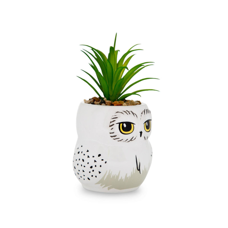 5.5'' Faux Succulent in Pot