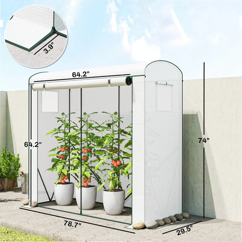 Mini Greenhouse, Modern Greenhouse For Outdoor, Dark Green/White