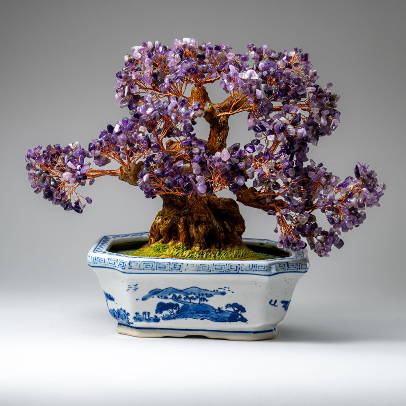 Véritable bonsaï améthyste en pot en céramique (hauteur de 12 €)