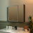 29.5" W x 27.9" H Smart Storage Solutions for Cosmetics Medicine Cabinet with Anti-Fog Mirror, LED Lighting, and Medium-Sized Design