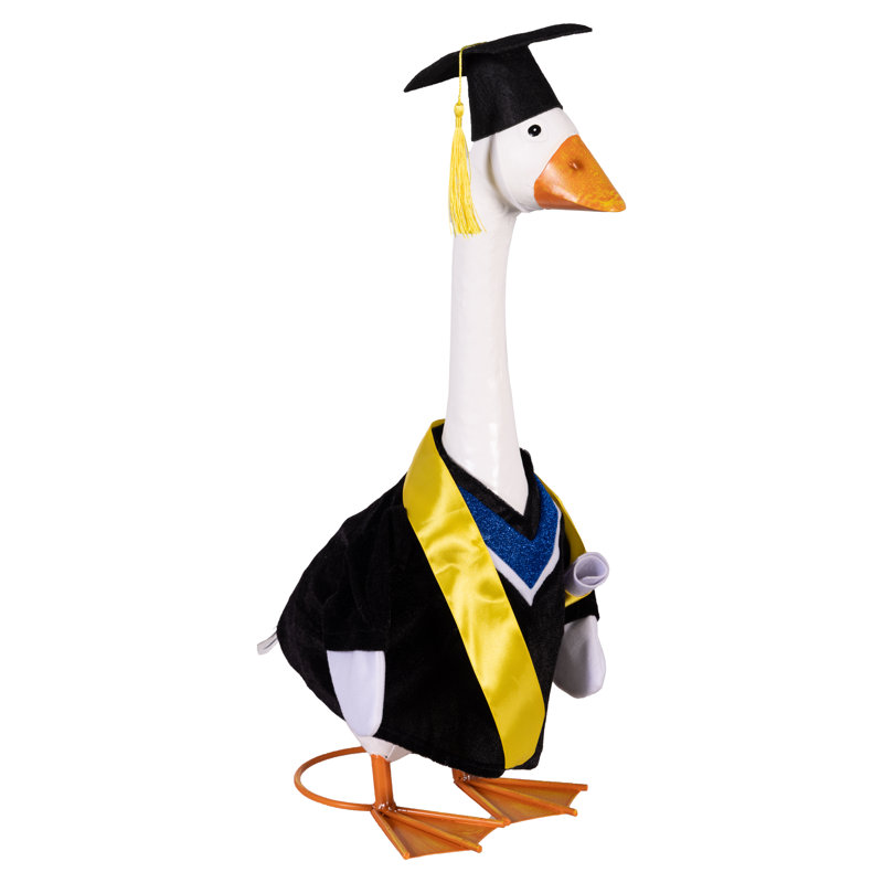 Tenue de porche en oie, jour de la remise des diplômes, Graduation Gown